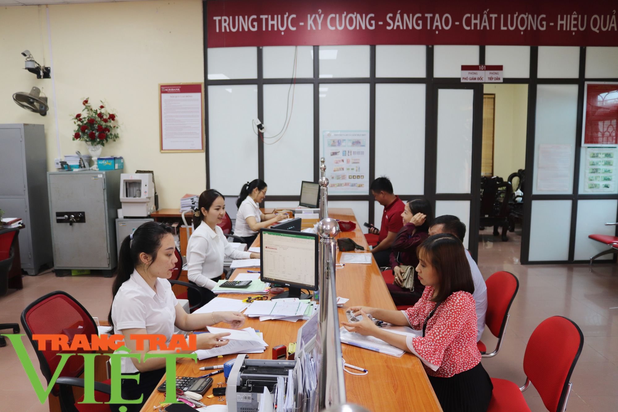 Đồng vốn Agribank tiếp sức cho nông dân Bắc Yên làm giàu - Ảnh 5.