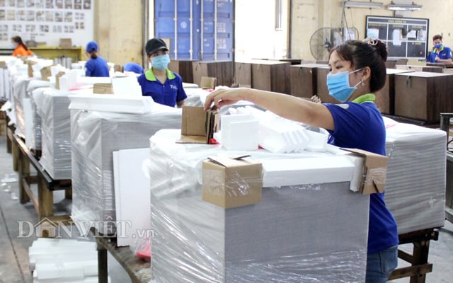 Công nhân TAC đóng hàng chuẩn bị xuất khẩu