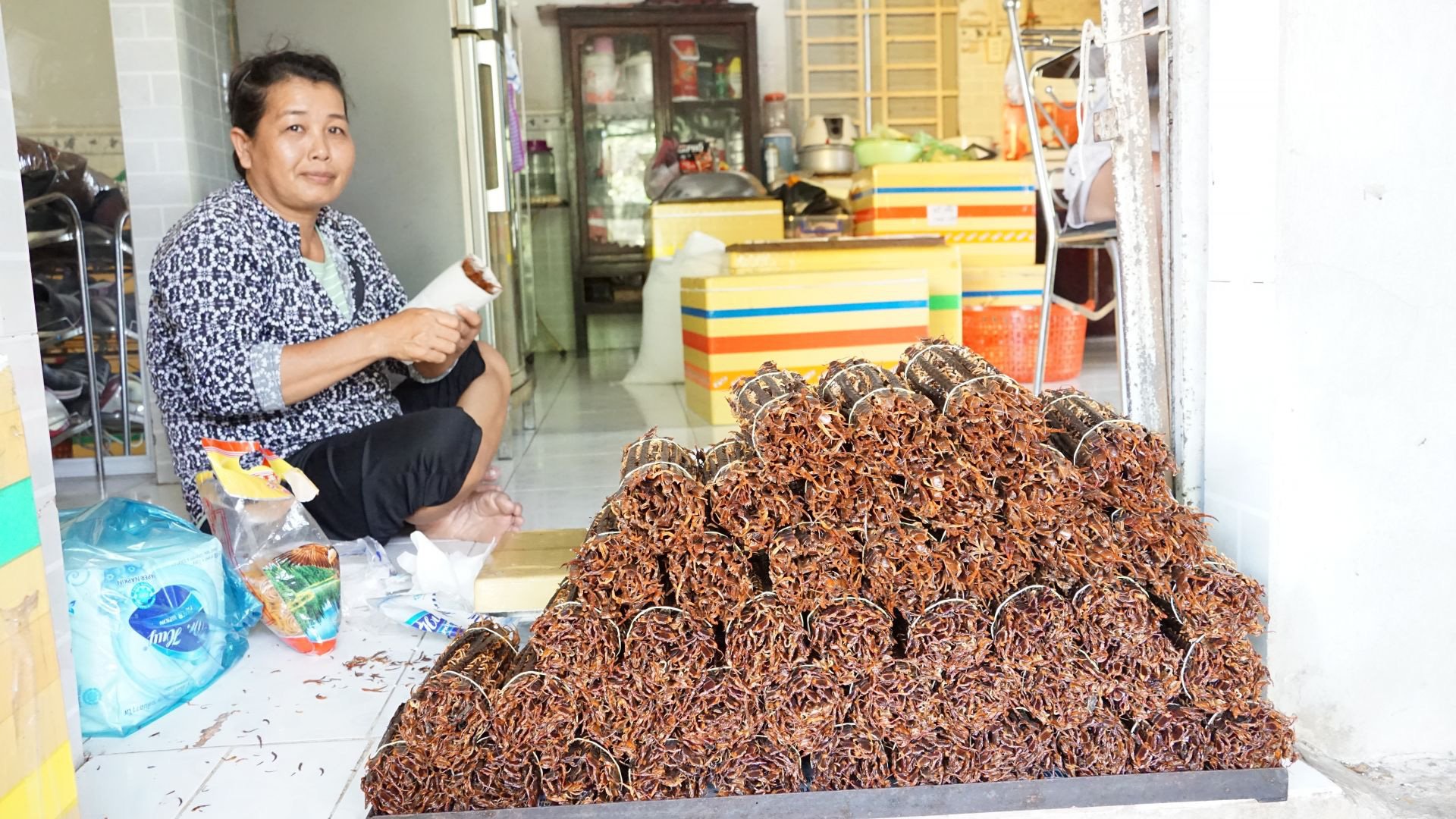 Tây Ninh: Nuôi những con rết to như ngón tay, nhìn phát ghê, thương lái Trung Quốc mua tiền triệu/kg - Ảnh 2. Tây Ninh: Nuôi những con rết to như ngón tay, nhìn phát ghê, thương lái Trung Quốc mua tiền triệu/kg - Ảnh 2.