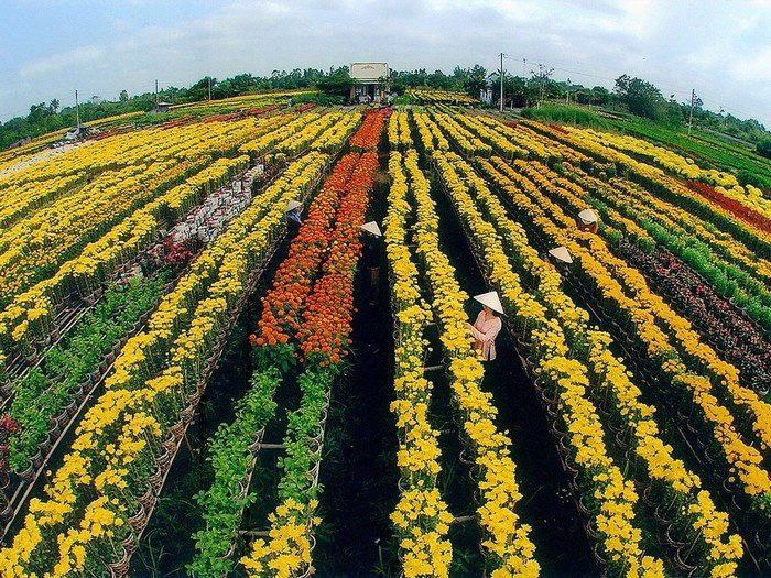 3 đối tượng được miễn thuế đất nông nghiệp mới nhất - Ảnh 1.