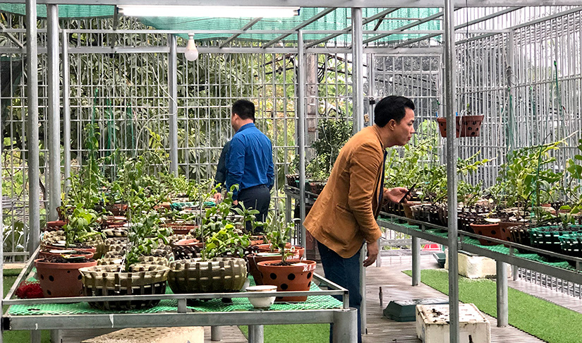 Hoa lan đột biến, những giao dịch hoa lan đột biến khủng, một vườn lan ở Tuyên Quang được định giá cả trăm tỷ đồng? - Ảnh 1.