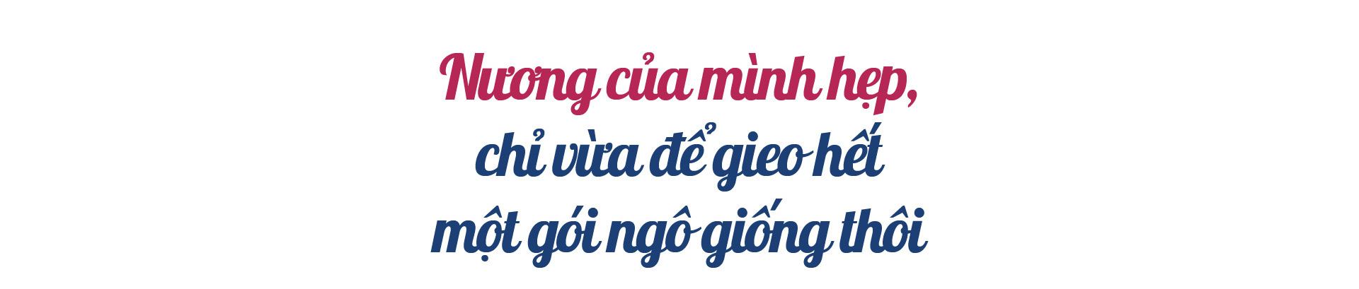 Dân Việt trò chuyện:Khà A Vấu - vinh danh “Thiên đường mây” trên “Miền đất lửa” - Ảnh 1.
