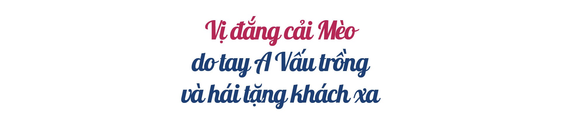 Dân Việt trò chuyện:Khà A Vấu - vinh danh “Thiên đường mây” trên “Miền đất lửa” - Ảnh 15.