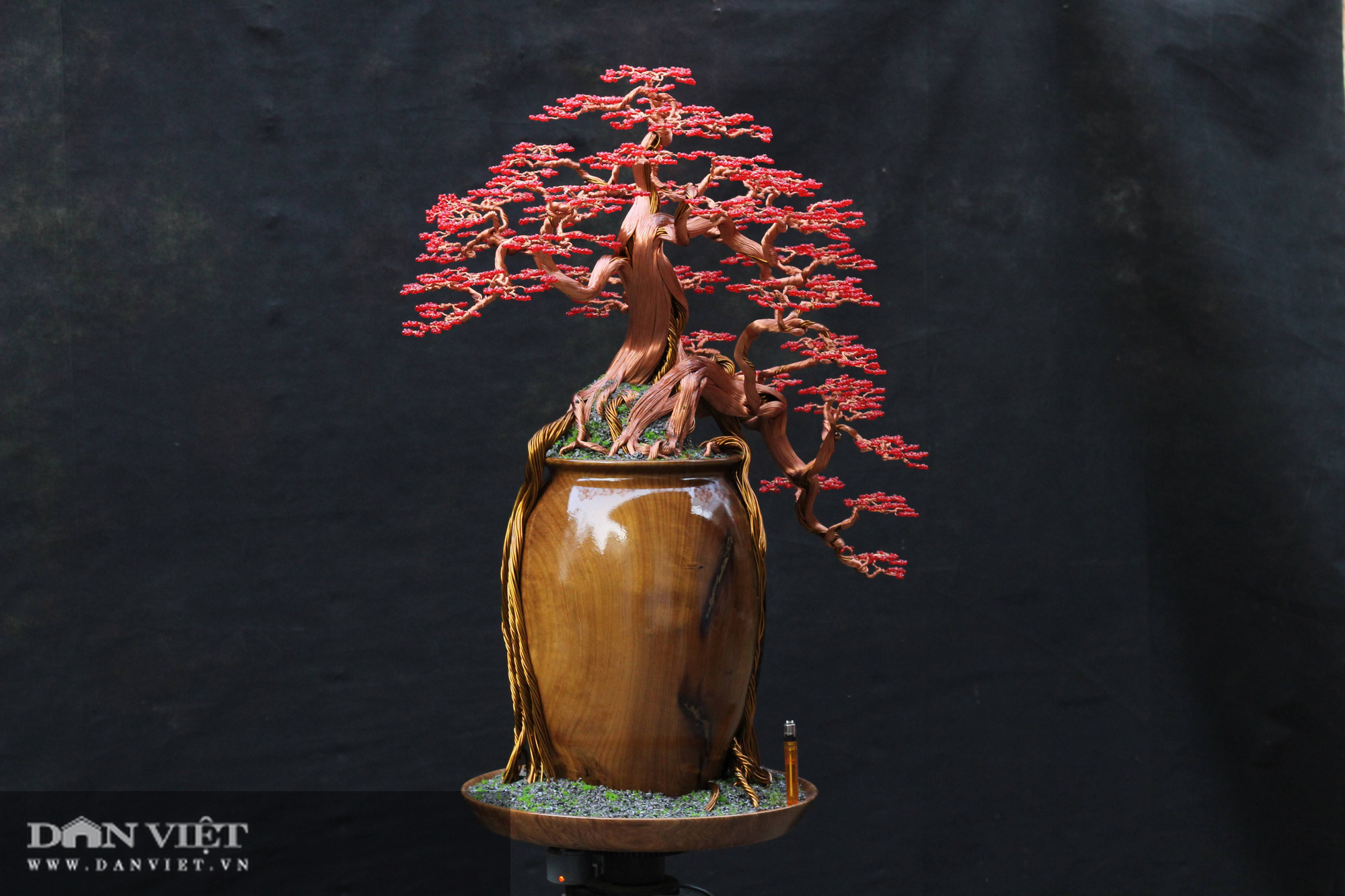 Bỏ túi 300 triệu mỗi năm nhờ tác phẩm bonsai &quot;bất tử&quot; - Ảnh 2.