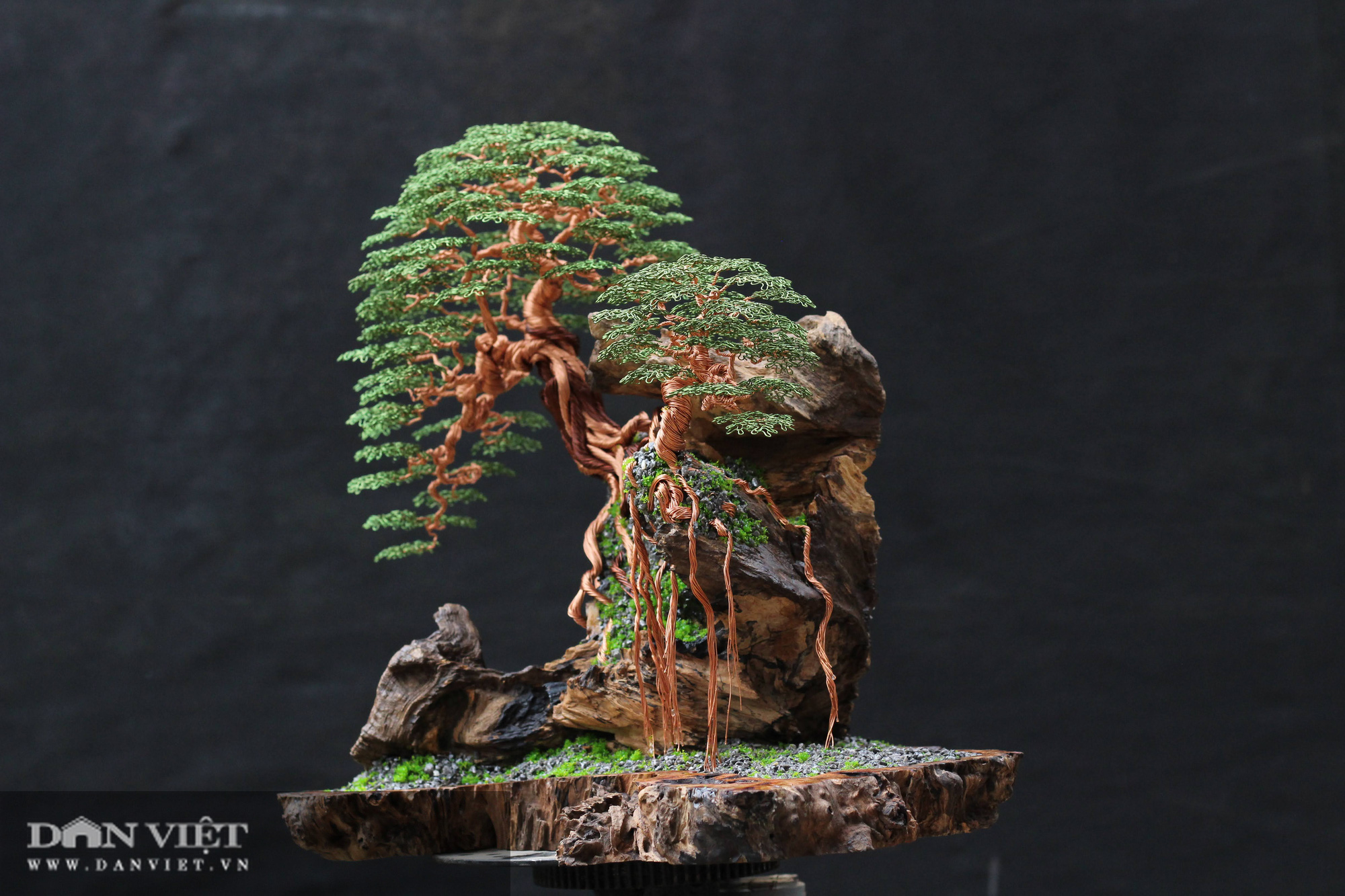 Bỏ túi 300 triệu mỗi năm nhờ tác phẩm bonsai &quot;bất tử&quot; - Ảnh 5.