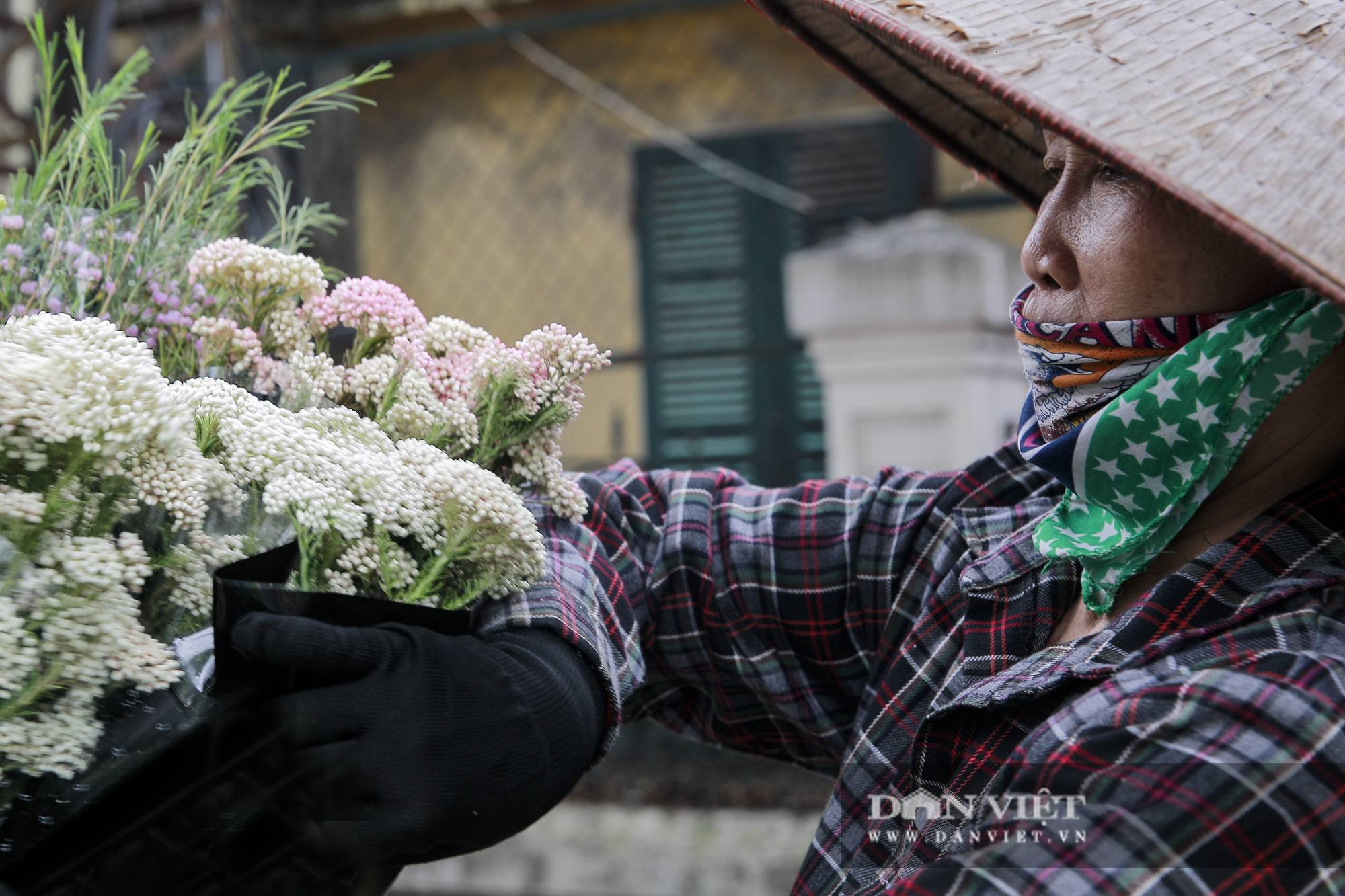 Người Hà Nội phát sốt với loài hoa nhập ngoại mới - Ảnh 3.