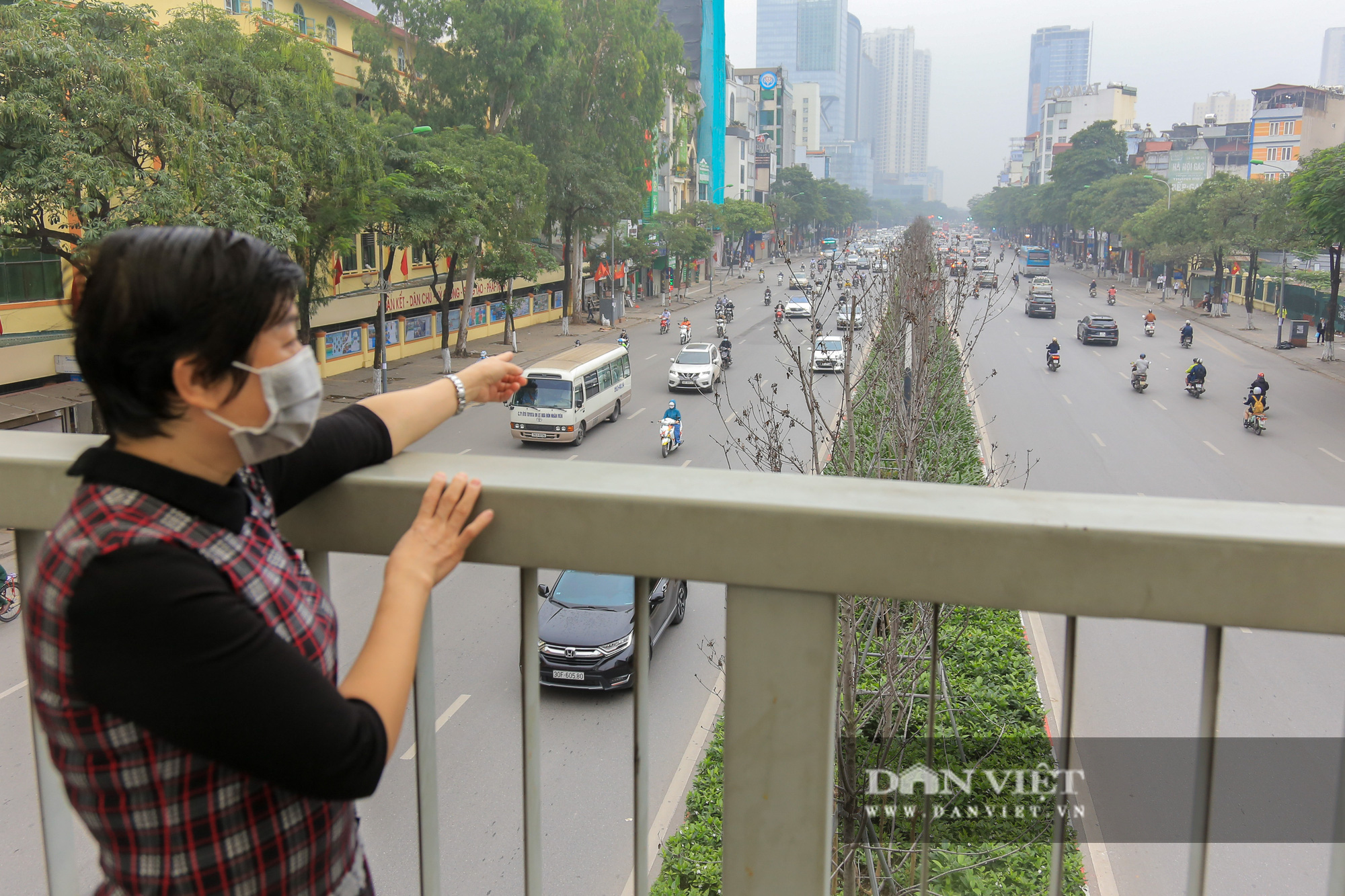 Người dân nói gì về việc Hà Nội thay thế cây phong ở 2 tuyến đường? - Ảnh 9.
