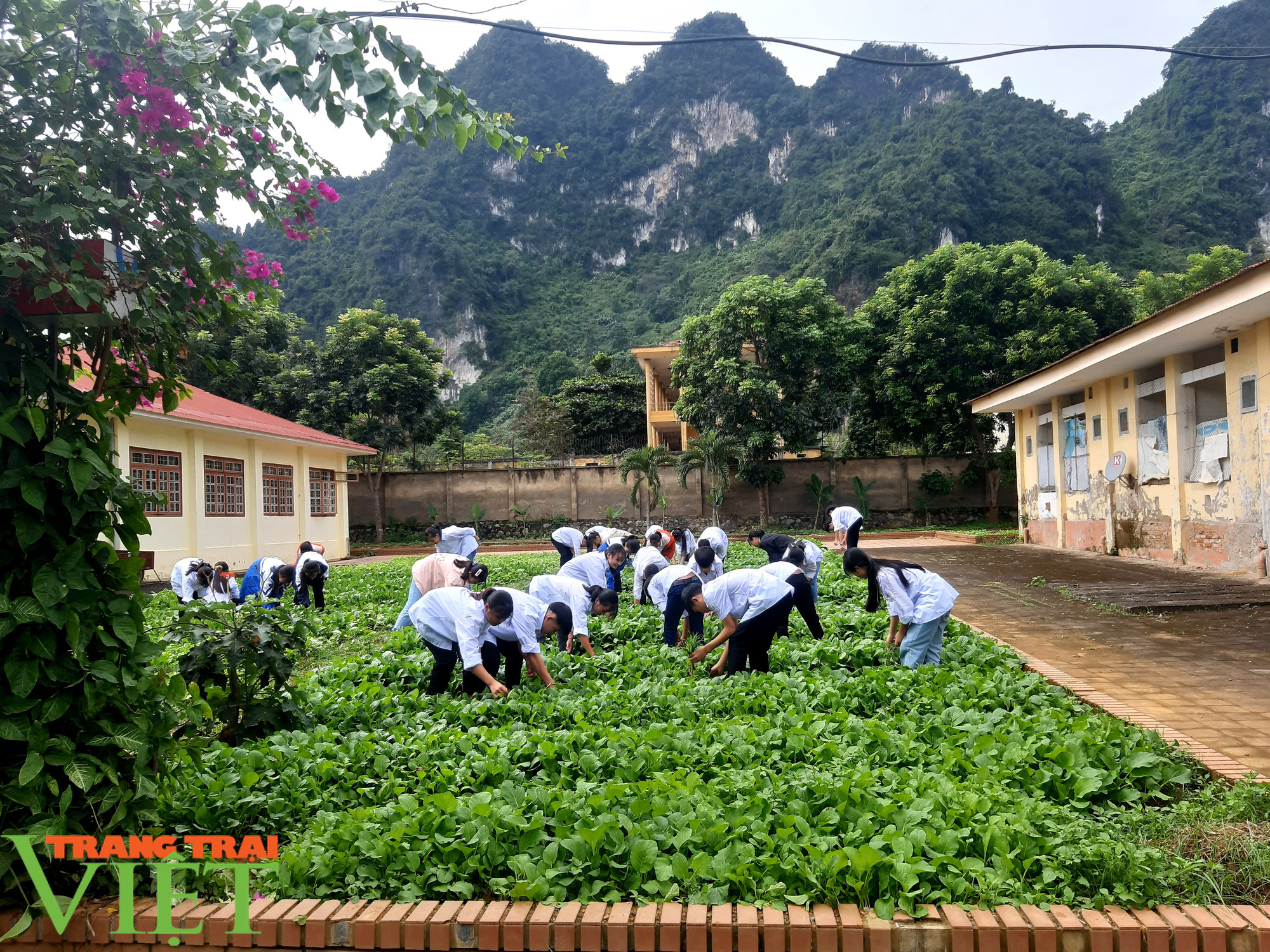 Trường PTDT Nội trú: Nơi chắp cánh ước mơ cho học sinh dân tộc - Ảnh 6. Trường PTDT Nội trú: Nơi chắp cánh ước mơ cho học sinh dân tộc - Ảnh 6.
