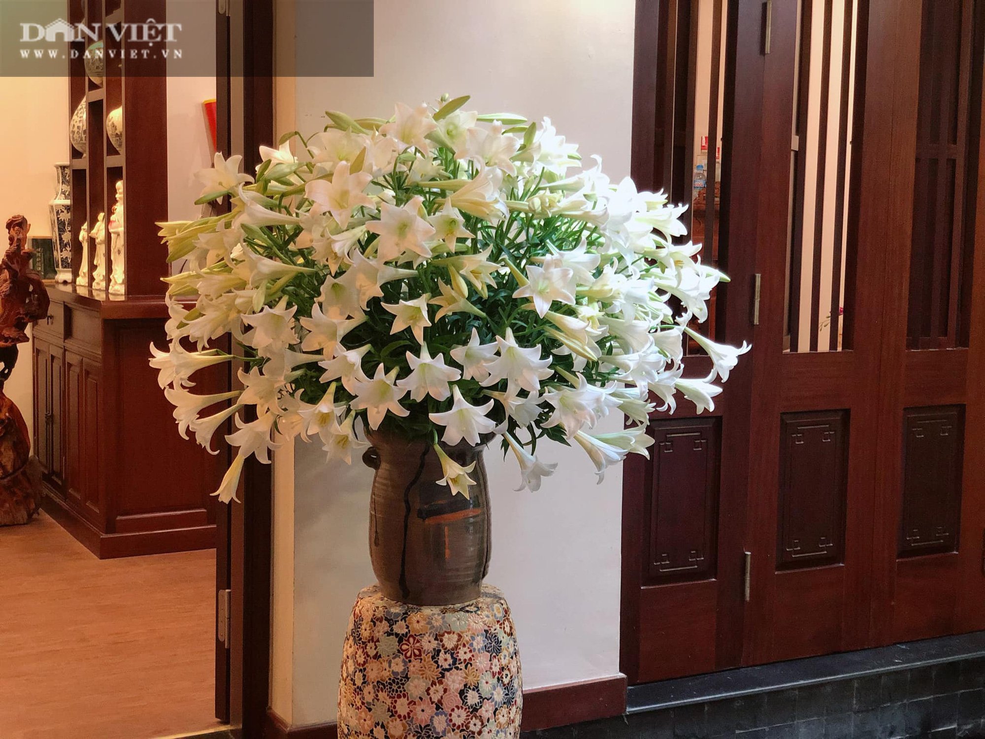 Hoa loa kèn đã vào mùa, chị em nô nức khoe những bình hoa xinh phát hờn - Ảnh 9.
