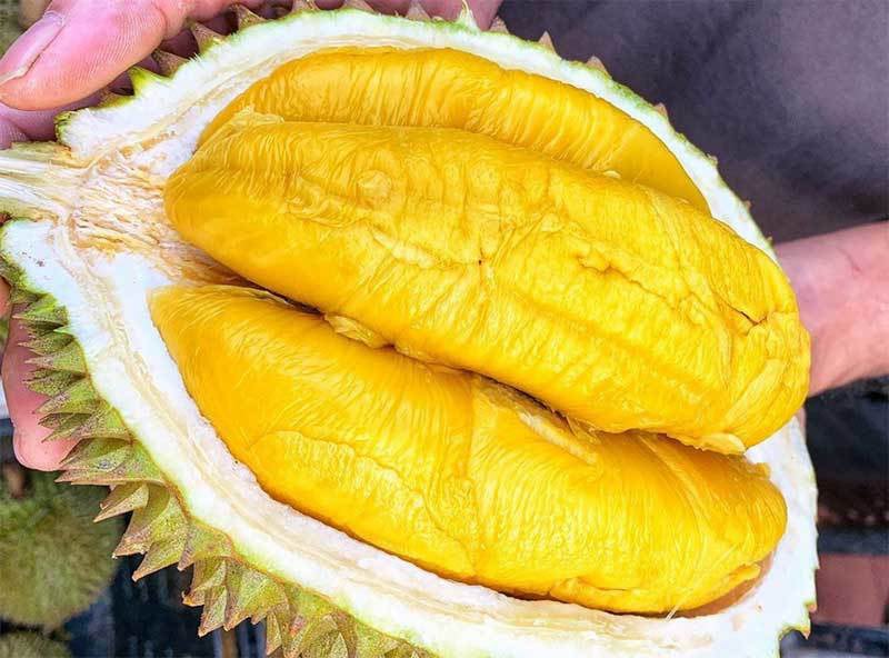 10 đặc sản tuyệt đỉnh ăn vào thì ngon thôi rồi của người Việt lại khiến khách nước ngoài sợ xanh mặt - Ảnh 9.