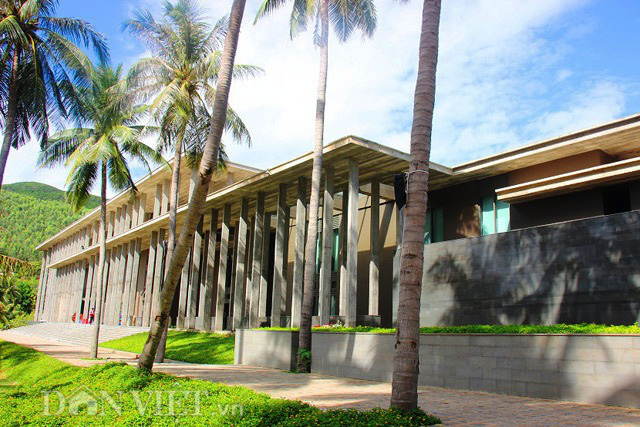 Thủ tướng đồng ý miễn tiền thuê đất cho dự án khoa học của Giáo sư Trần Thanh Vân - Ảnh 1.