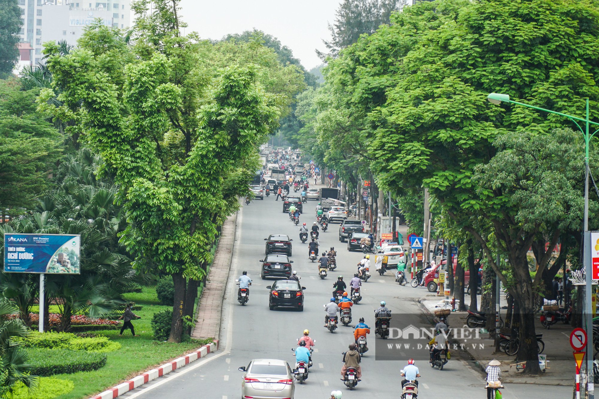 Điểm mặt những tuyến đường nhiều tầng cây xanh ở Hà Nội - Ảnh 8.
