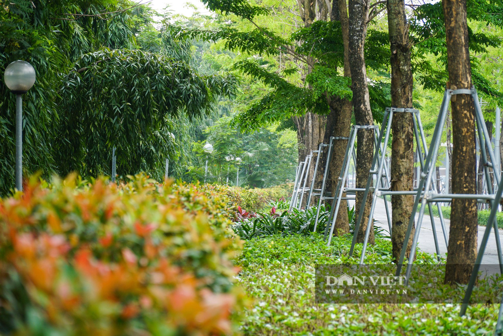 Điểm mặt những tuyến đường nhiều tầng cây xanh ở Hà Nội - Ảnh 3.