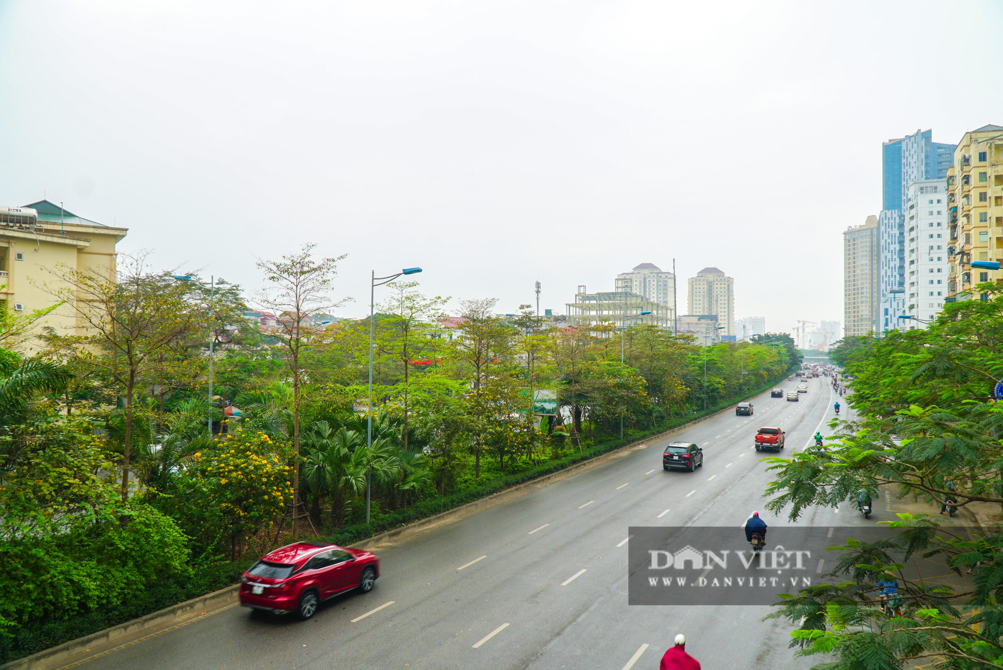 Điểm mặt những tuyến đường nhiều tầng cây xanh ở Hà Nội - Ảnh 7.