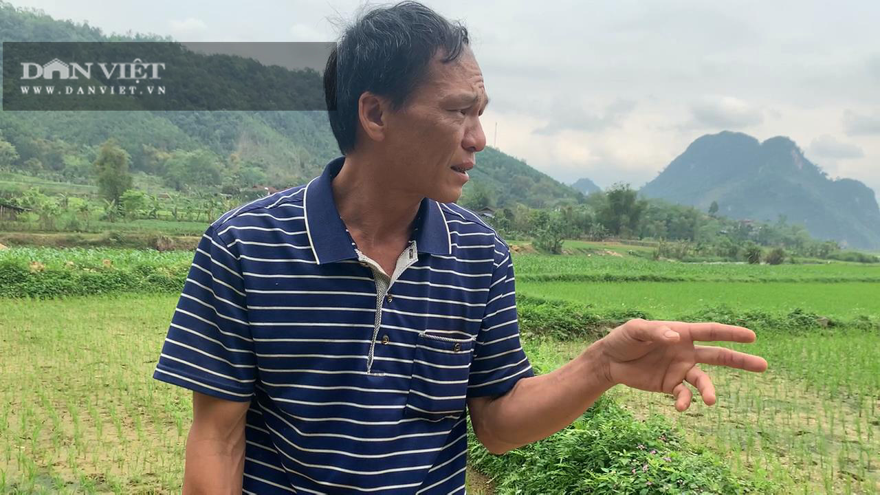 Đường nông thôn &quot;nhảy dù&quot; vào đất dân ở Bắc Kạn: Chính quyền họp giải quyết đơn thư - Ảnh 2.