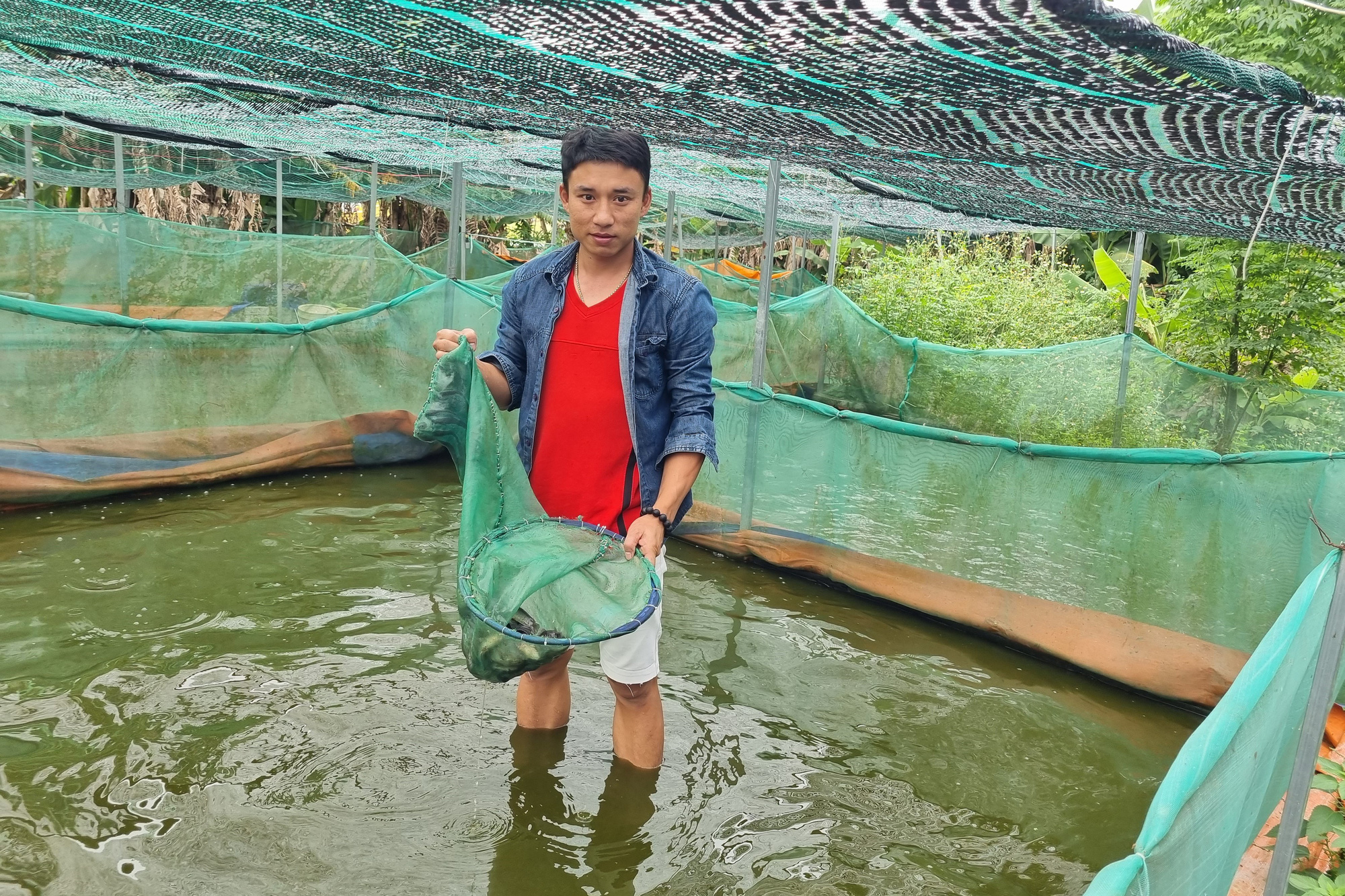 Cử nhân xây dựng khởi nghiệp với "con ộp ộp", kiếm 200 triệu đồng/năm - Ảnh 4. Cử nhân xây dựng khởi nghiệp với "con ộp ộp", kiếm 200 triệu đồng/năm - Ảnh 4.