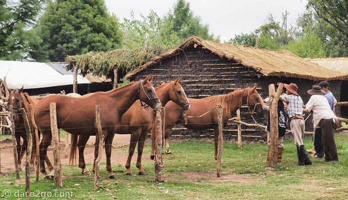 Bí quyết “đốn tim” phụ nữ của các Gaucho lãng tử bí ẩn Nam Mỹ - Ảnh 4.