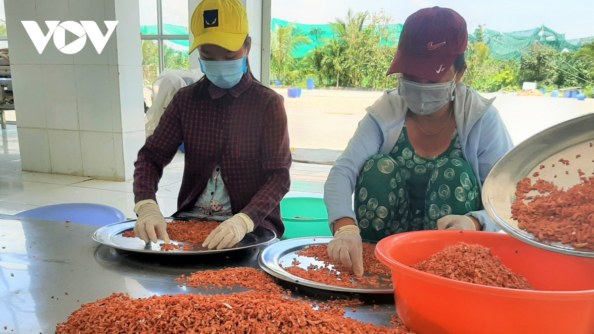 Đây là lí do mà “Tôm khô Rạch Gốc” - đặc sản khô ngon nhất đến từ vùng đất Cà Mau làm không đủ bán - Ảnh 14.