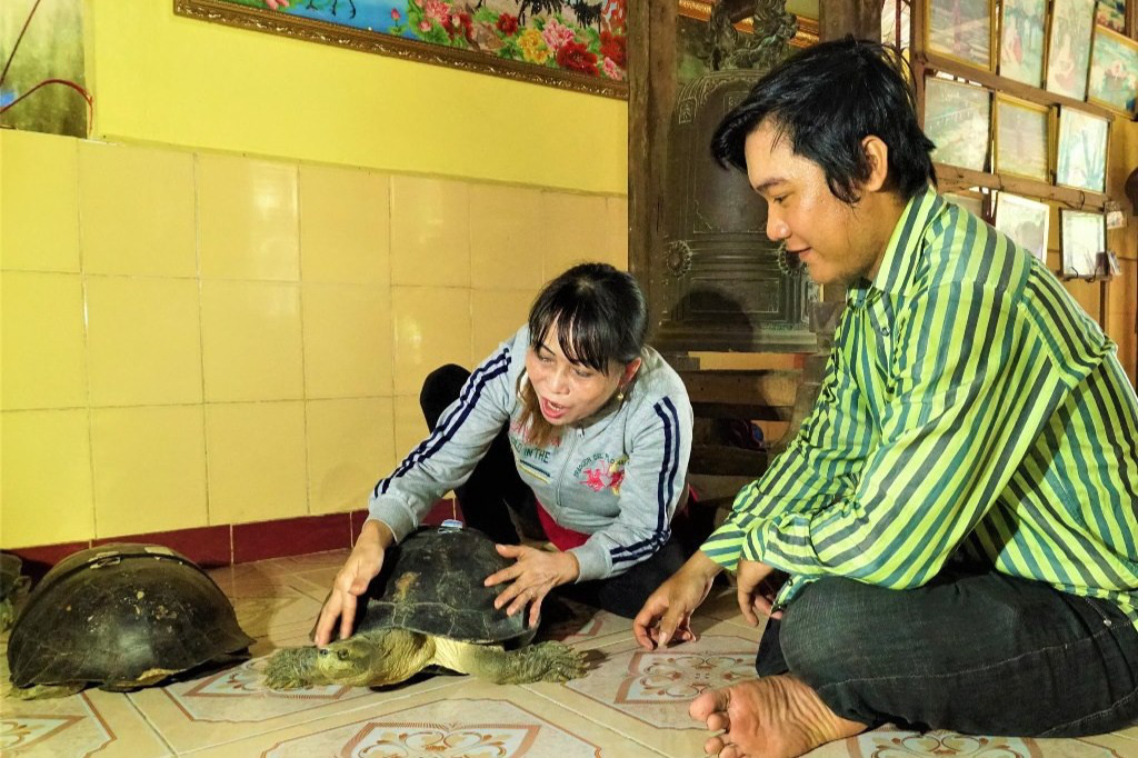 Lạ kỳ ngôi chùa có những &quot;cụ&quot; rùa trăm tuổi... ăn chay, ngủ mùng - Ảnh 3.