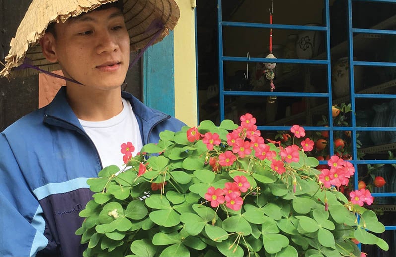TT-Huế: Từ yêu hoa chua me đất, trai trẻ trồng 100 loài hoa lạ, ai ngờ vừa đẹp vừa bán ra tiền - Ảnh 1.