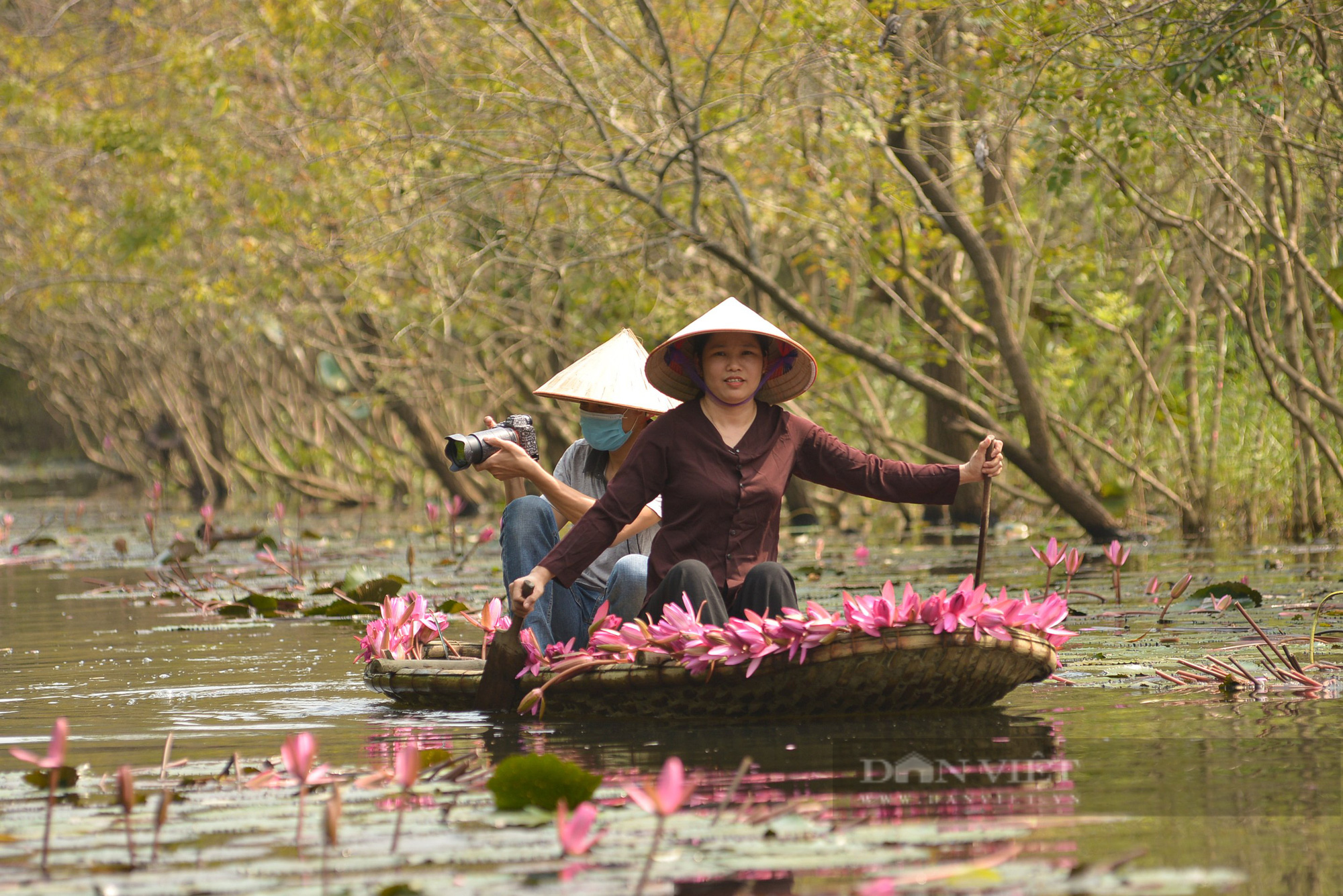 Mùa hoa súng tuyệt đẹp ở ven đô Hà Nội - Ảnh 7.