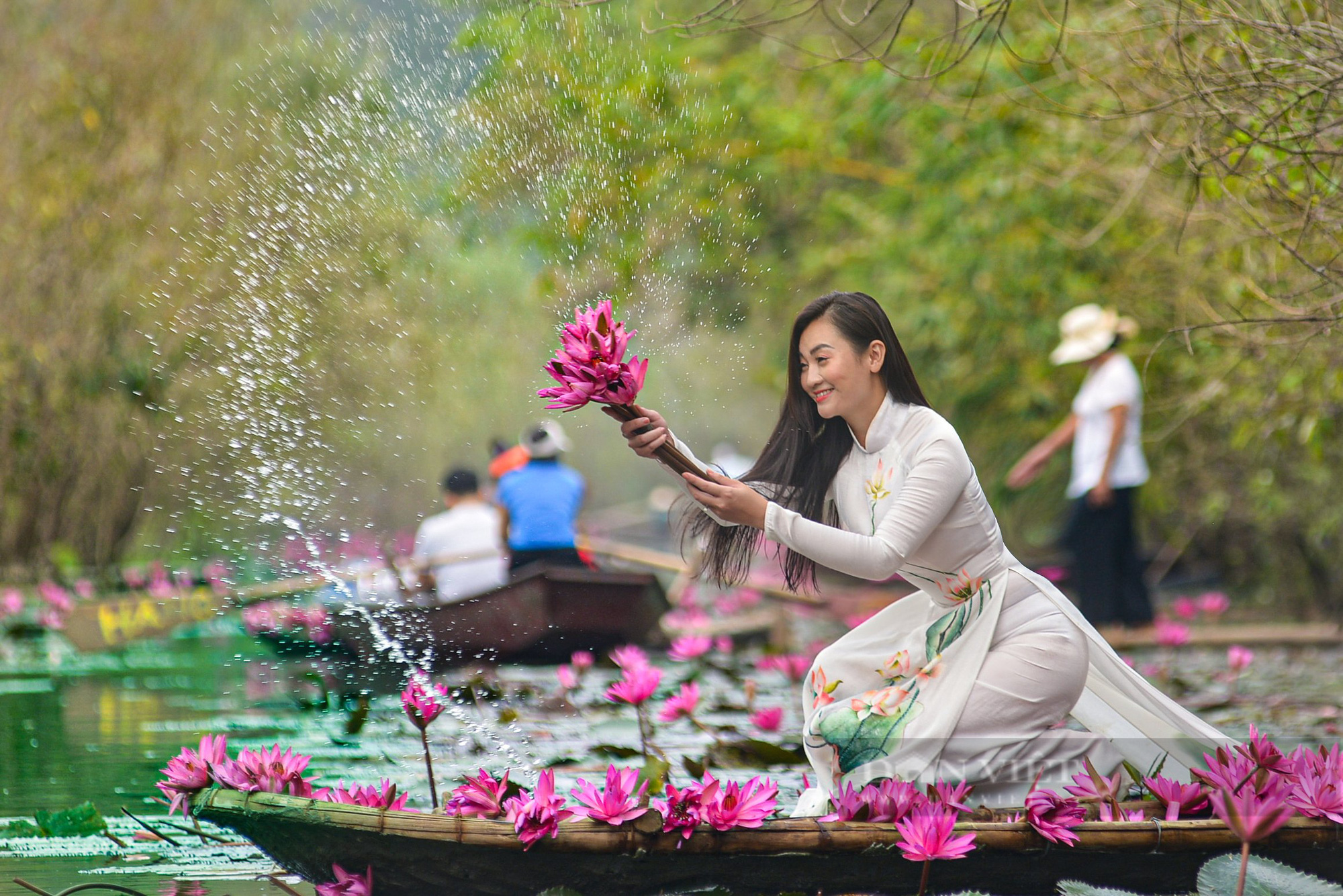 Mùa hoa súng tuyệt đẹp ở ven đô Hà Nội - Ảnh 8.