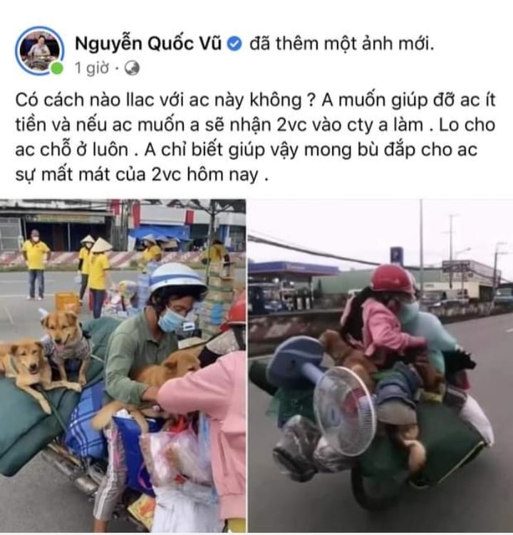 Chủ của 15 con chó bị tiêu hủy sẽ dùng số tiền được cho để mua đất và tiếp tục nuôi chó - Ảnh 2.