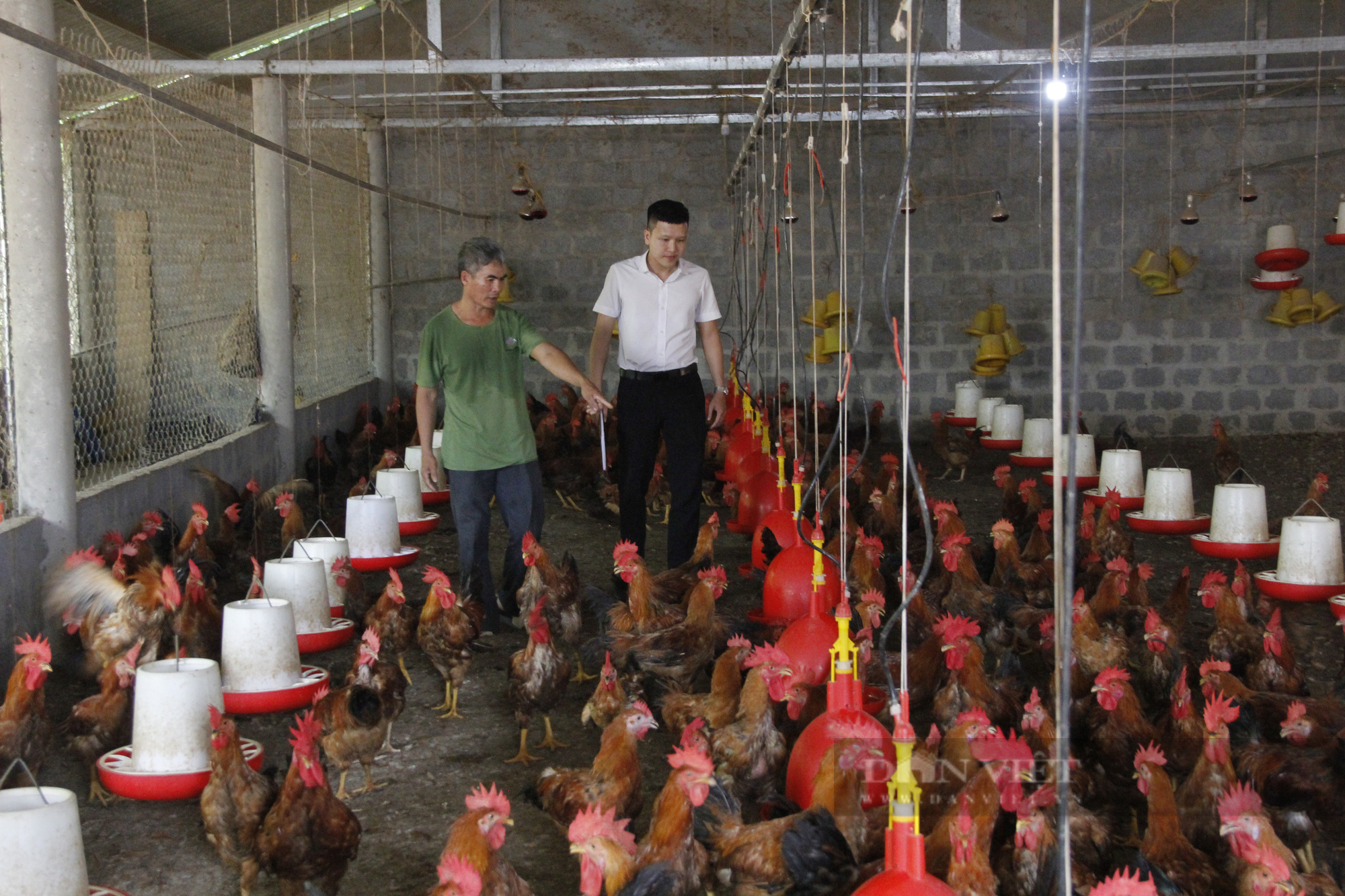 Quảng Trị xây dựng NTM: Tự đặt mục tiêu khó để phấn đấu - Ảnh 2.