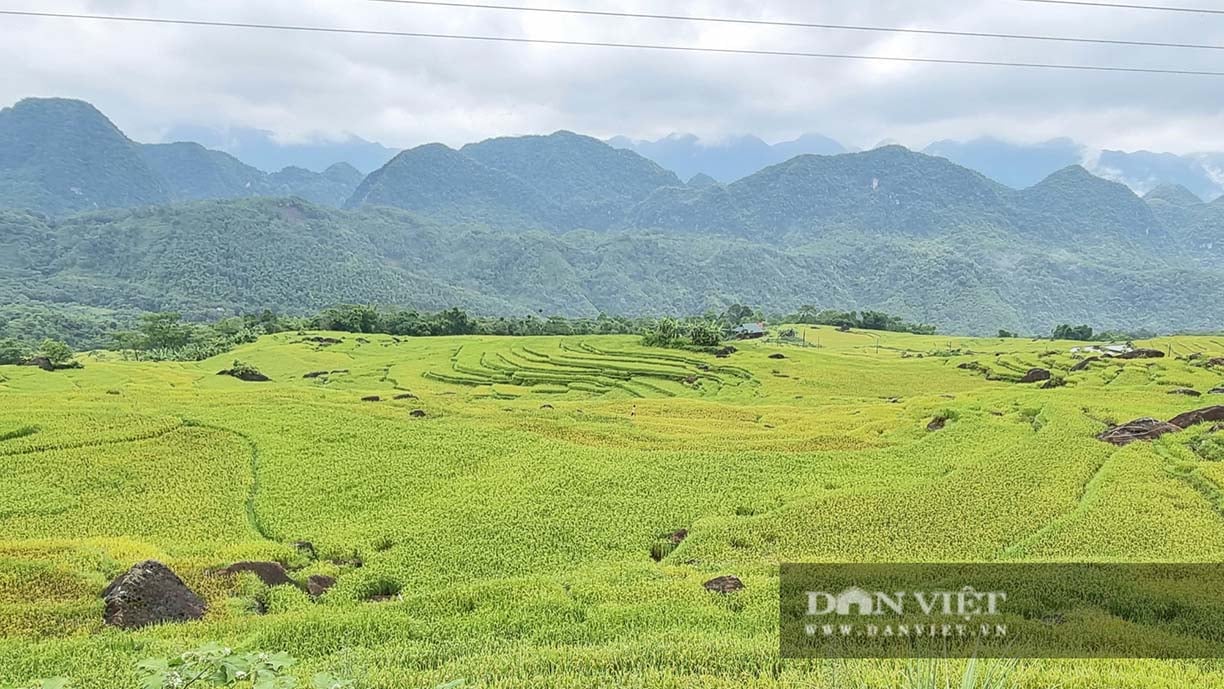 Khôi phục du lịch nội địa: (Bài 1) Ánh sáng cuối đường hầm cho ngành du lịch - Ảnh 1.