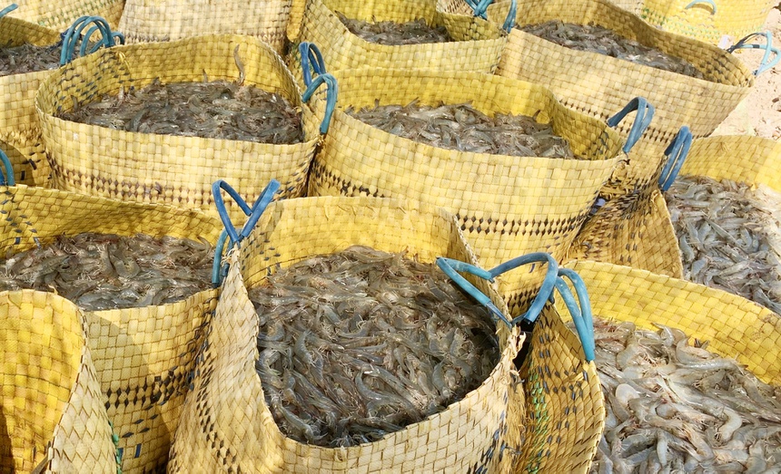 Doanh nghiệp miền Tây lên kế hoạch tuyển lao động hồi hương - Ảnh 2.