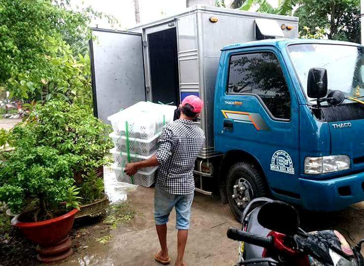 Tiền Giang: Mất đầu ra, chủ trại nuôi rắn mối “khủng” nhất miền Tây cho rắn uống thuốc ngưng đẻ - Ảnh 5.