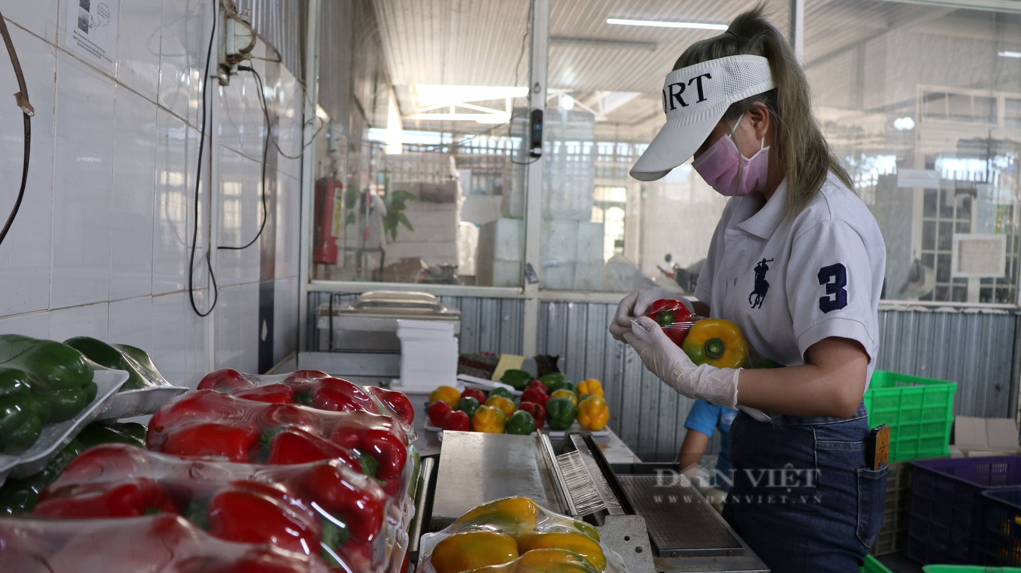 Chuyển đổi số trong nông nghiệp ở Lâm Đồng (bài 3): Lấy người dân làm trung tâm - Ảnh 3.