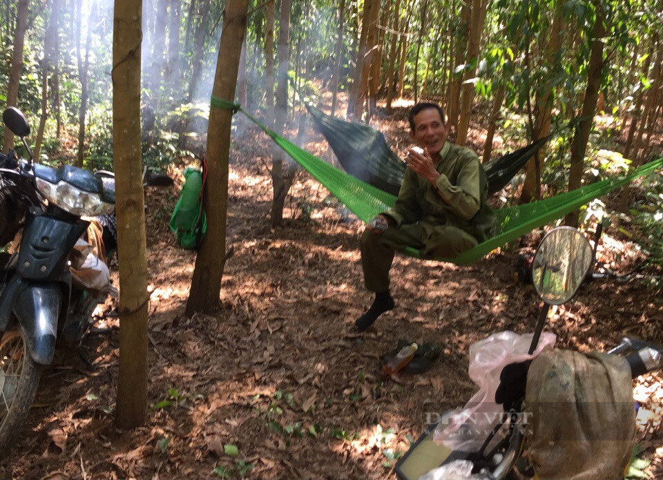 Người miền biển mê rừng và quyết định táo bạo trở thành “tỷ phú” - Ảnh 2.