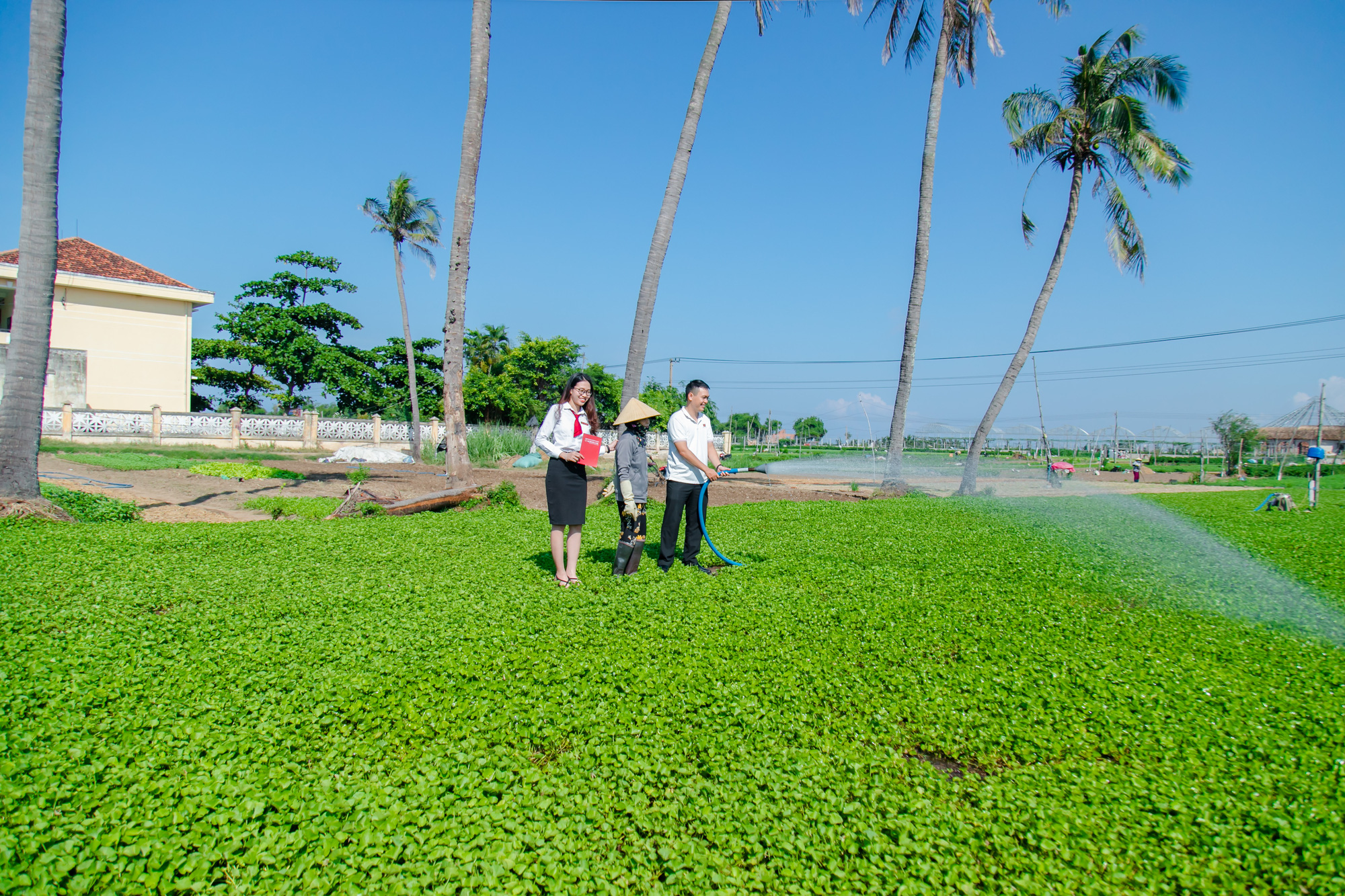 Agribank Phú Yên triển khai đồng bộ nhiều giải pháp hỗ trợ khách hàng, góp phần đẩy lùi tín dụng đen - Ảnh 5. Agribank Phú Yên triển khai đồng bộ nhiều giải pháp hỗ trợ khách hàng, góp phần đẩy lùi tín dụng đen - Ảnh 5.