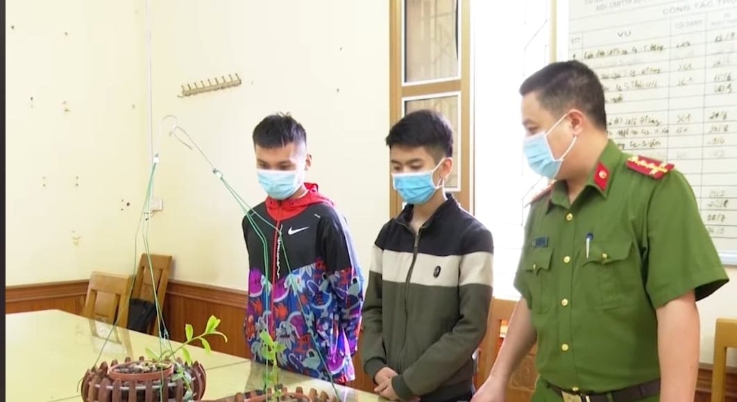 Phú Thọ:  Làm rõ 2 đối tượng lừa bán lan đột biến bằng hình thức tinh vi, chiếm đoạt hàng tỷ đồng - Ảnh 1.