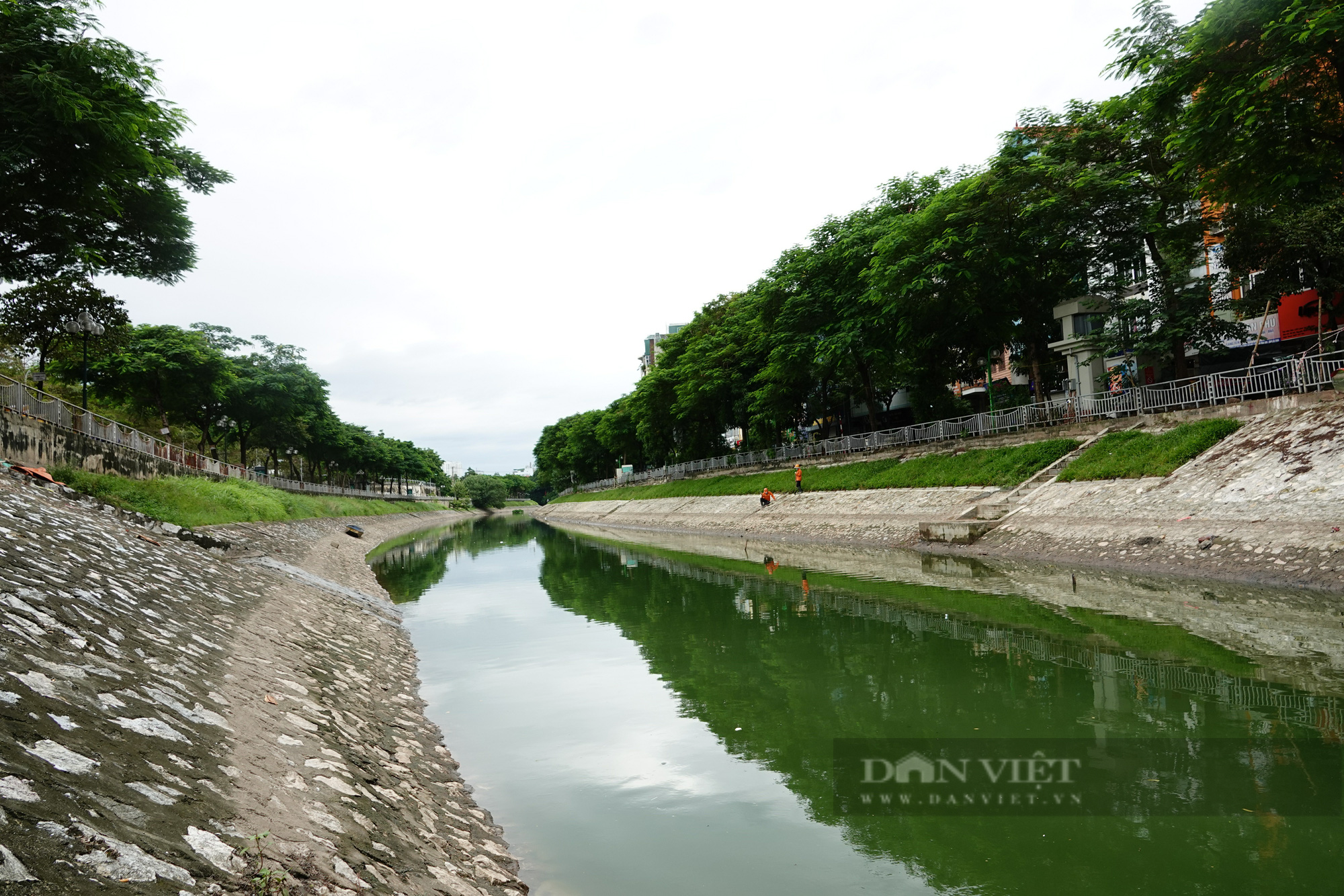 Sông Tô Lịch lại chuyển màu xanh lạ, người dân hăm hở đánh bắt hàng tạ cá - Ảnh 1.