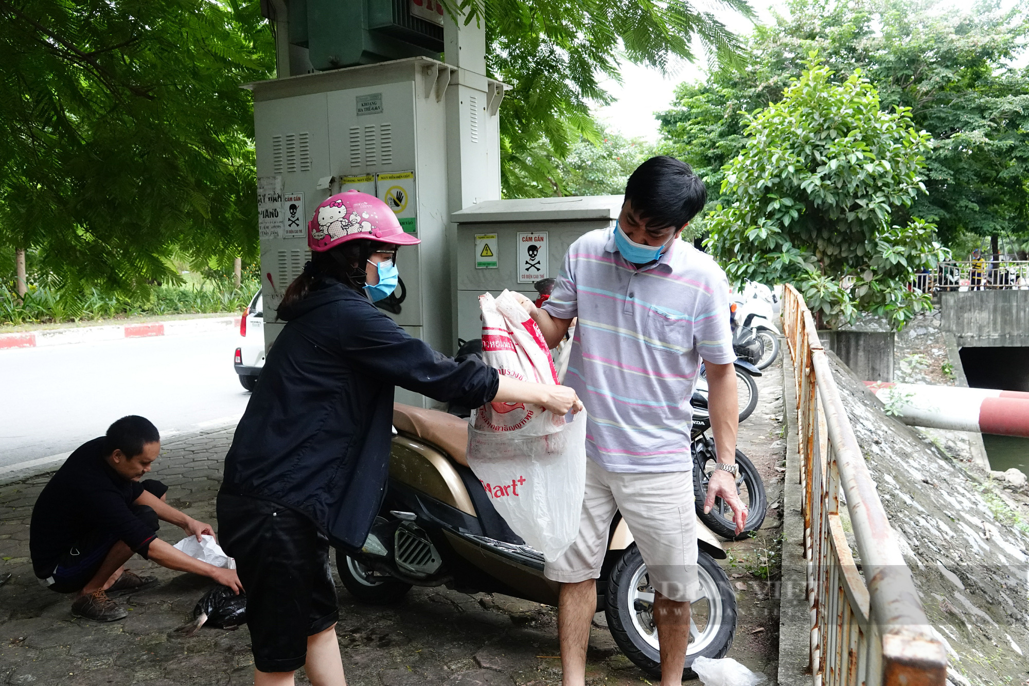 Sông Tô Lịch lại chuyển màu xanh lạ, người dân hăm hở đánh bắt hàng tạ cá - Ảnh 10.