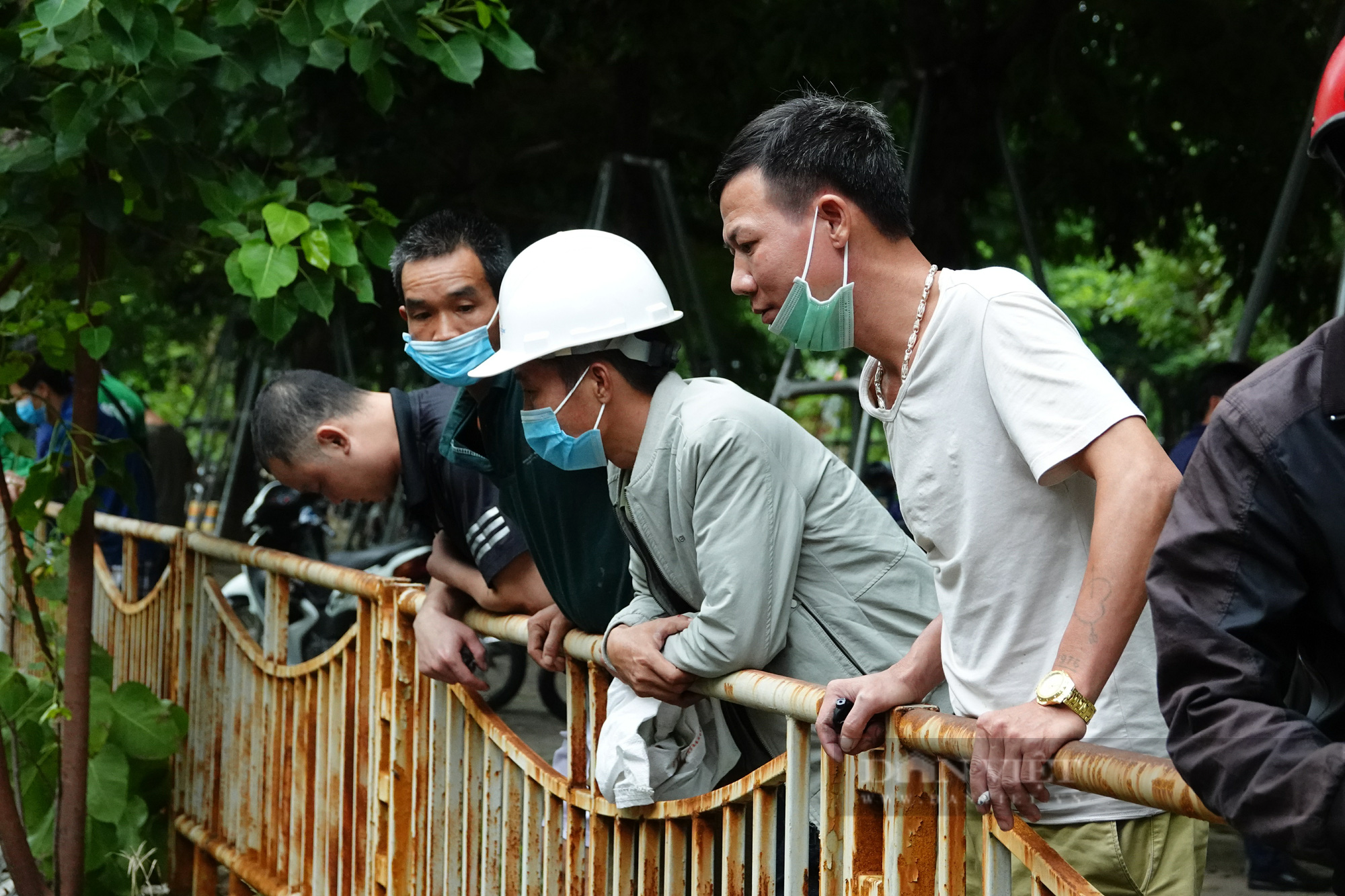 Sông Tô Lịch lại chuyển màu xanh lạ, người dân hăm hở đánh bắt hàng tạ cá - Ảnh 11.