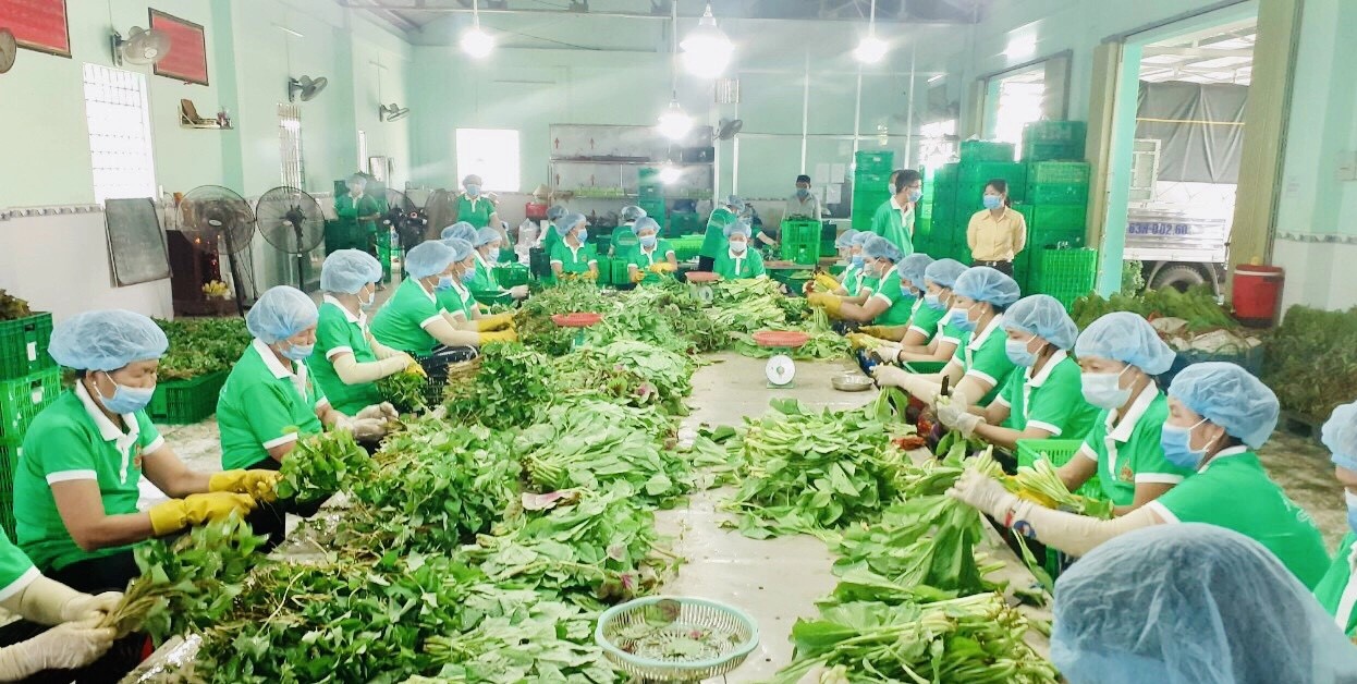 Chính phủ chỉ đạo các địa phương bãi bỏ ngay những yêu cầu, điều kiện trái với quy định của Trung ương - Ảnh 2.