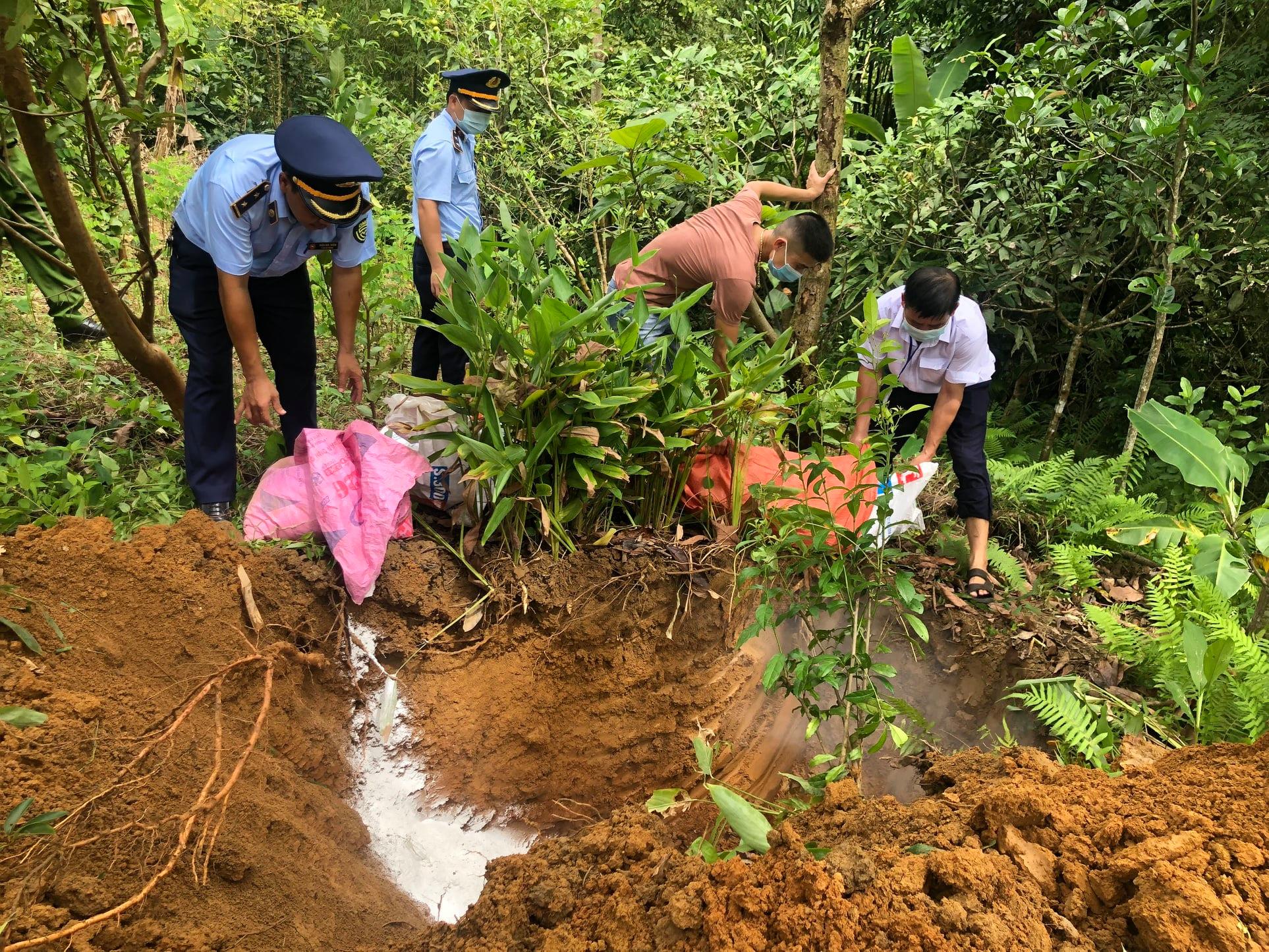 Hà Giang: Trong 1 tháng, tiêu hủy hơn 100 tấn lợn nhiễm dịch tả Châu Phi - Ảnh 1. Hà Giang: Trong 1 tháng, tiêu hủy hơn 100 tấn lợn nhiễm dịch tả Châu Phi - Ảnh 1.