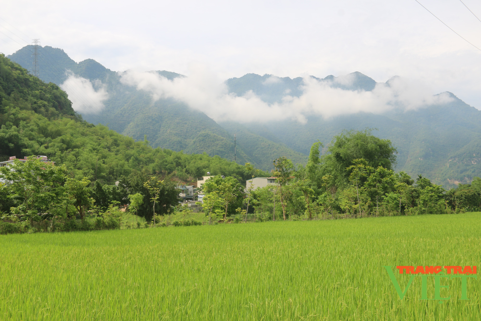 Mai Châu giữ gìn môi trường sạch đẹp gắn với phát triển du lịch cộng đồng - Ảnh 2. Mai Châu giữ gìn môi trường sạch đẹp gắn với phát triển du lịch cộng đồng - Ảnh 2.