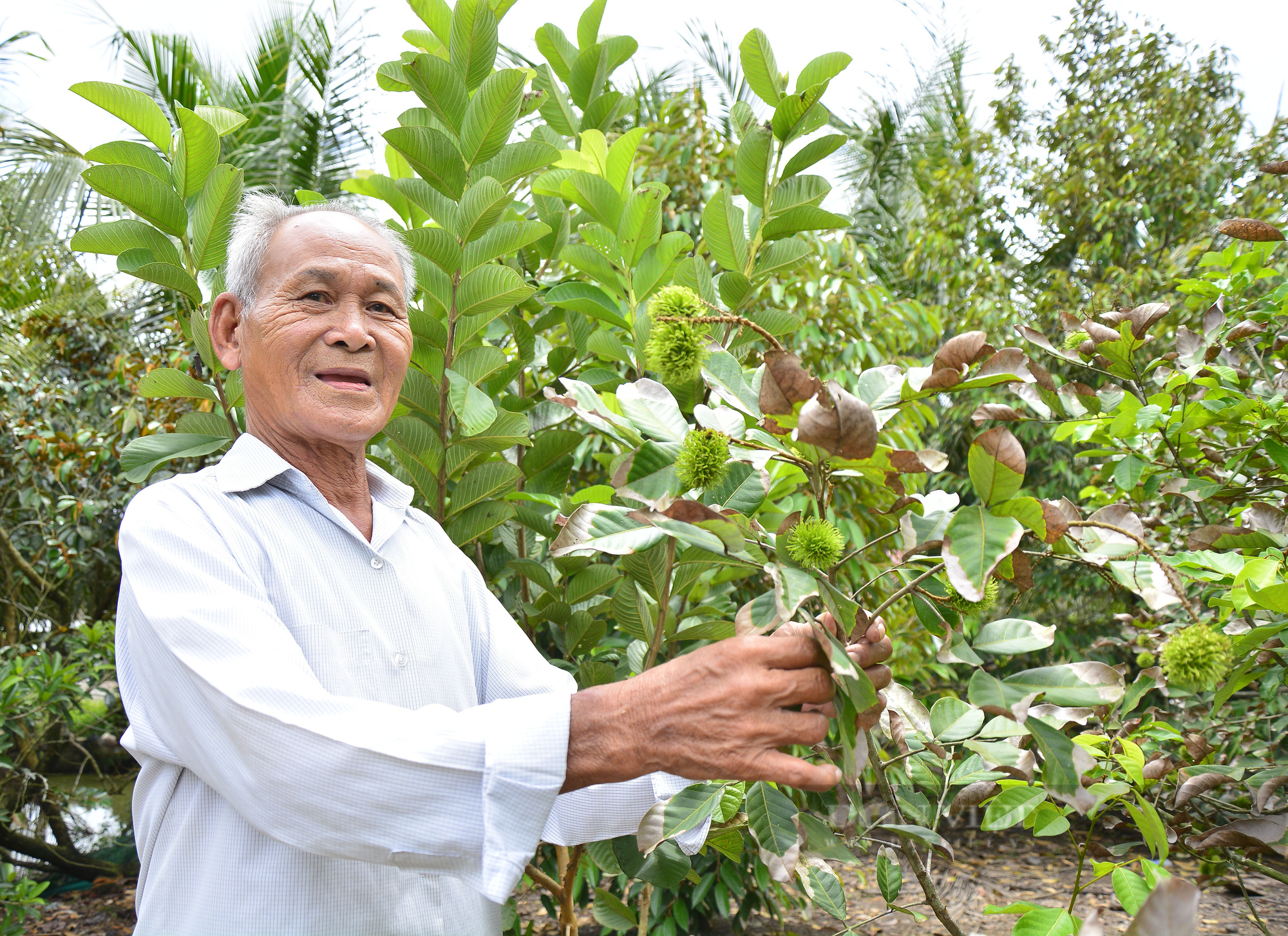 Tỷ phú chân đất - Tư Xì Dầu hết lòng vì công tác khuyến học - Ảnh 2.
