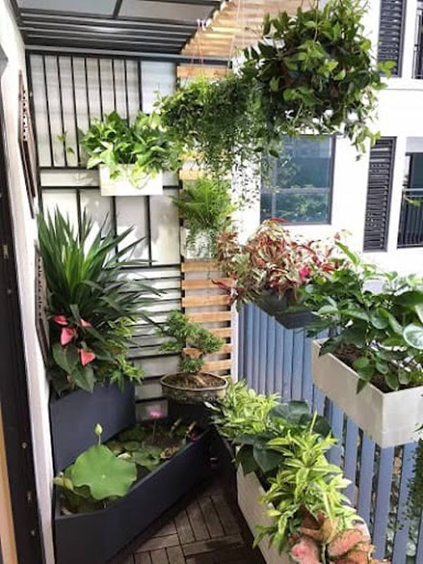 Cách bố trí cây cảnh ở ban công hợp phong thủy, bảo hộ bình an, khai thông tài lộc - Ảnh 4.