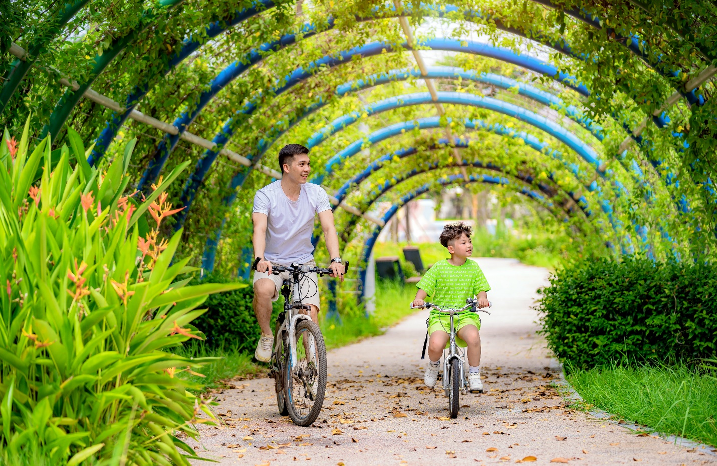 Khu đô thị Dương Nội - Sức hút của quần thể bất động sản đa tiện ích - Ảnh 1.