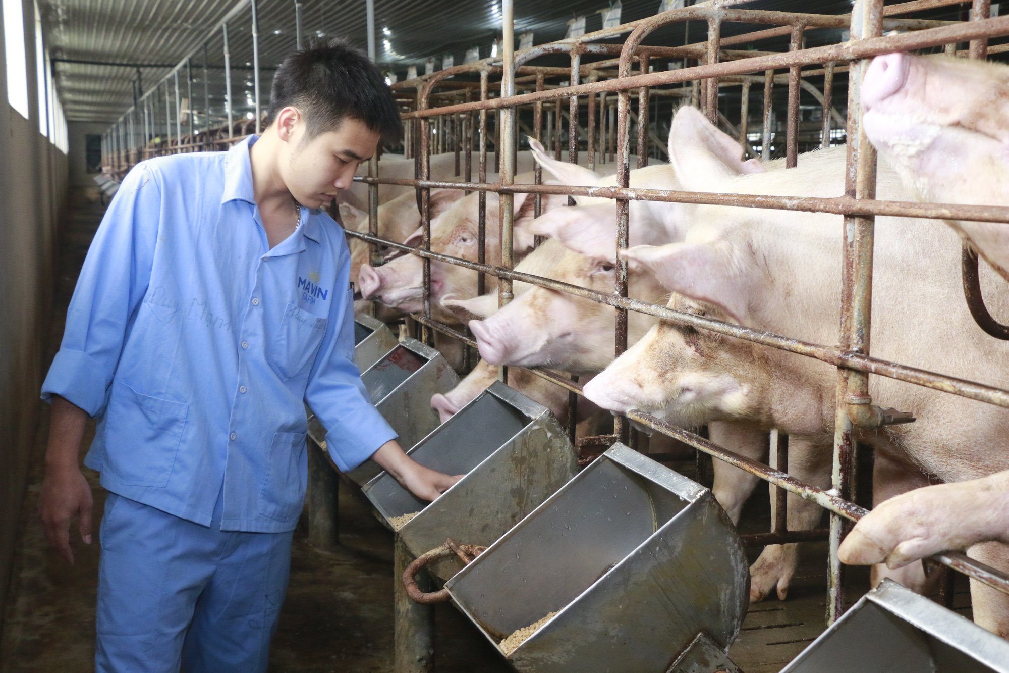 Giám đốc Học viện Nông nghiệp Việt Nam - Ảnh 2.