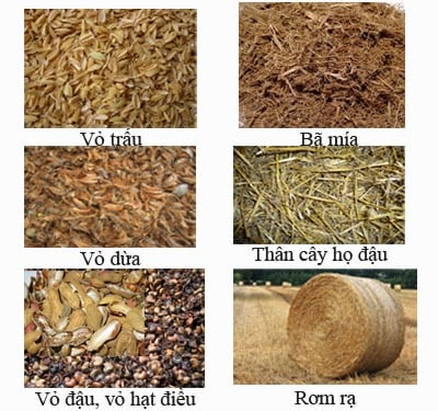 TRỰC TIẾP: Bỏ phí cả trăm triệu tấn phụ phẩm nông nghiệp không khác gì ném đi hàng tỷ USD  - Ảnh 7.
