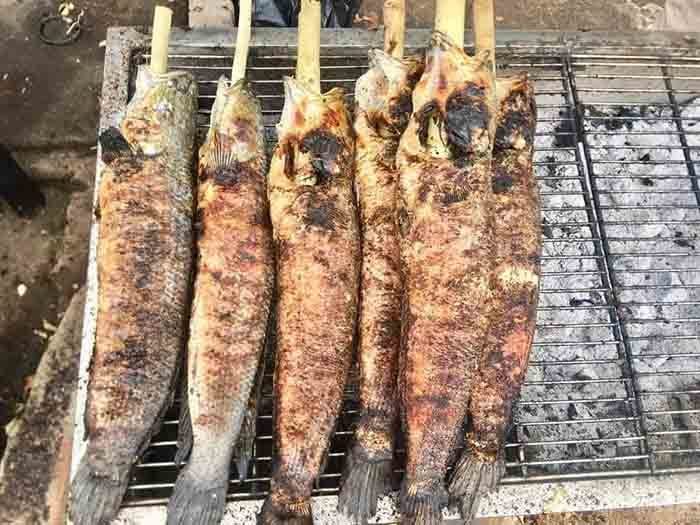 Cá lóc nướng mía nhiều người thích,  ngày bán vài trăm con - Ảnh 2.