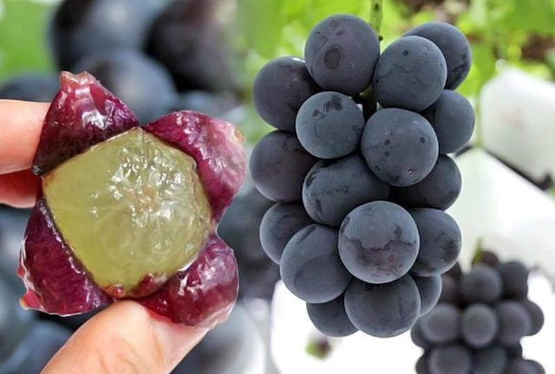 Nho Nhật Bản siêu đắt đỏ: Ăn đủ combo mất 20 triệu đồng - Ảnh 15.