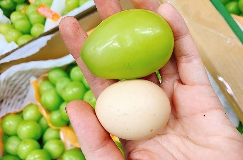 Nho Nhật Bản siêu đắt đỏ: Ăn đủ combo mất 20 triệu đồng - Ảnh 3.