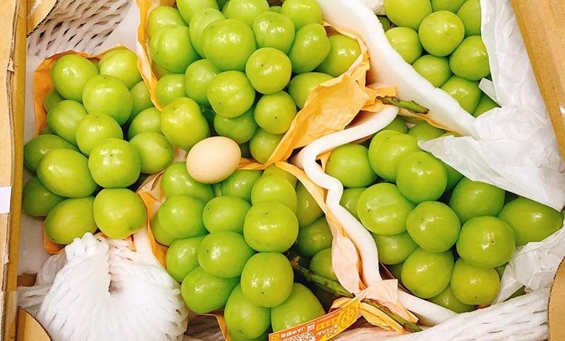 Nho Nhật Bản siêu đắt đỏ: Ăn đủ combo mất 20 triệu đồng - Ảnh 2.